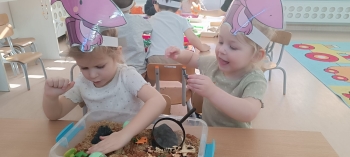 WhatsApp Image 2026-03-06 at 20.56.55 (4).jpeg