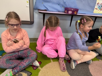 WhatsApp Image 2026-03-05 at 13.25.46.jpeg