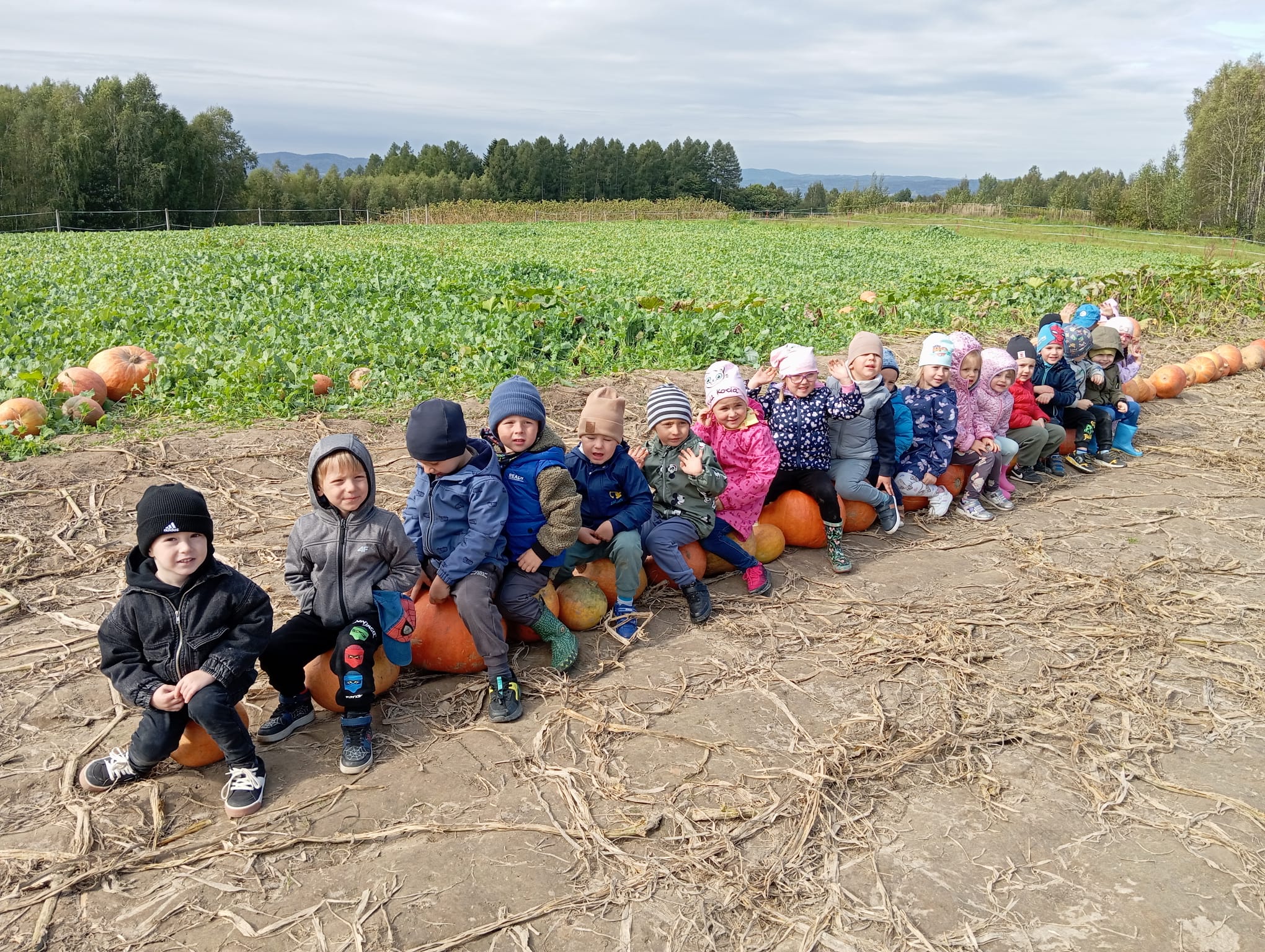 Motylki na wycieczce w Zagrodzie Szmer